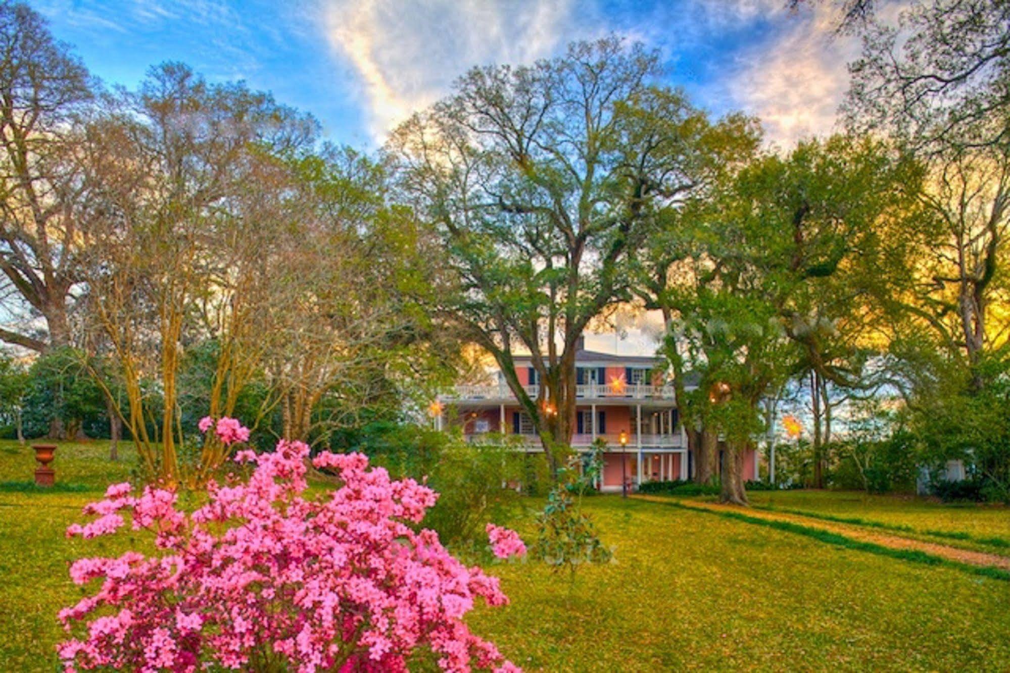 The Elms Bed And Breakfast Natchez Exterior photo
